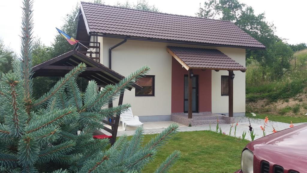 Cabana 7 Brazi Poiana Marului  Exterior photo